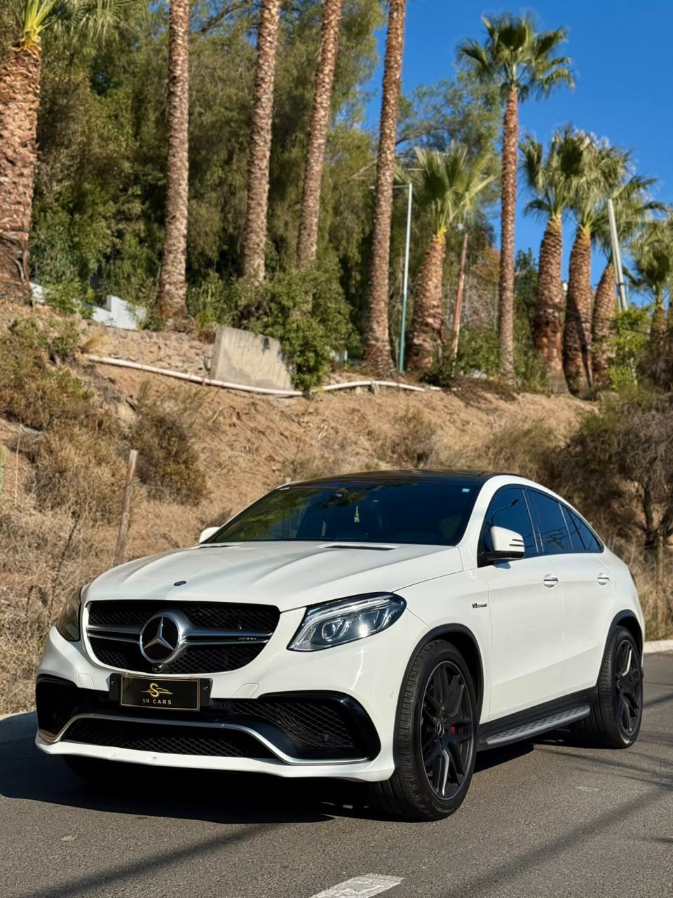 Mercedes Benz Clase GLE undefined