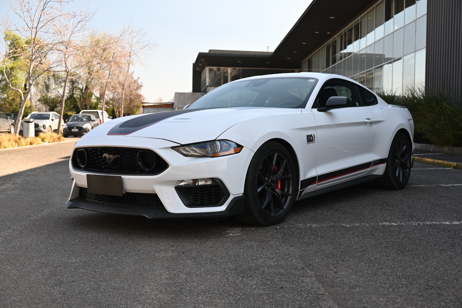 Ford Mustang undefined