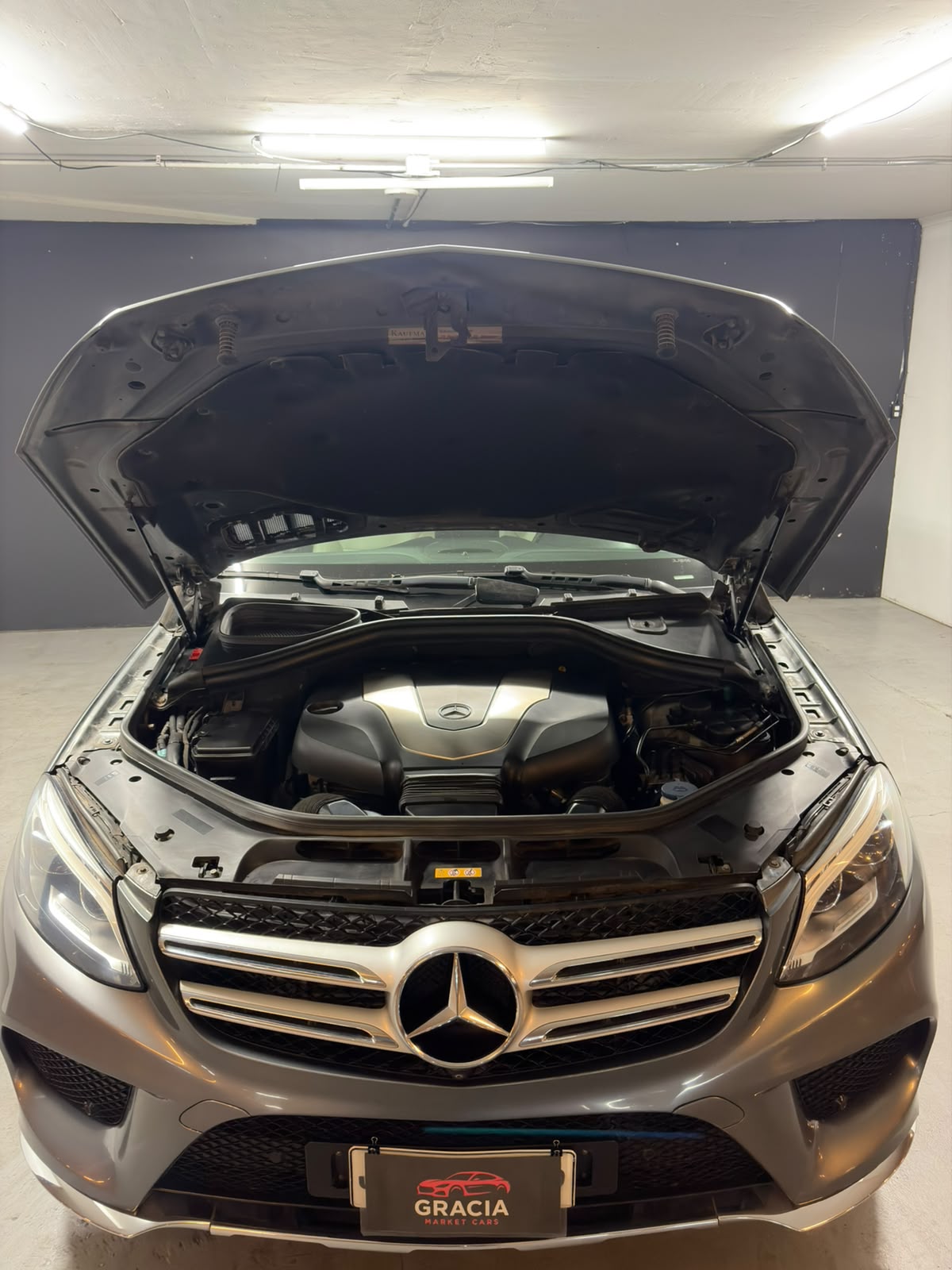 Vehicle media 19