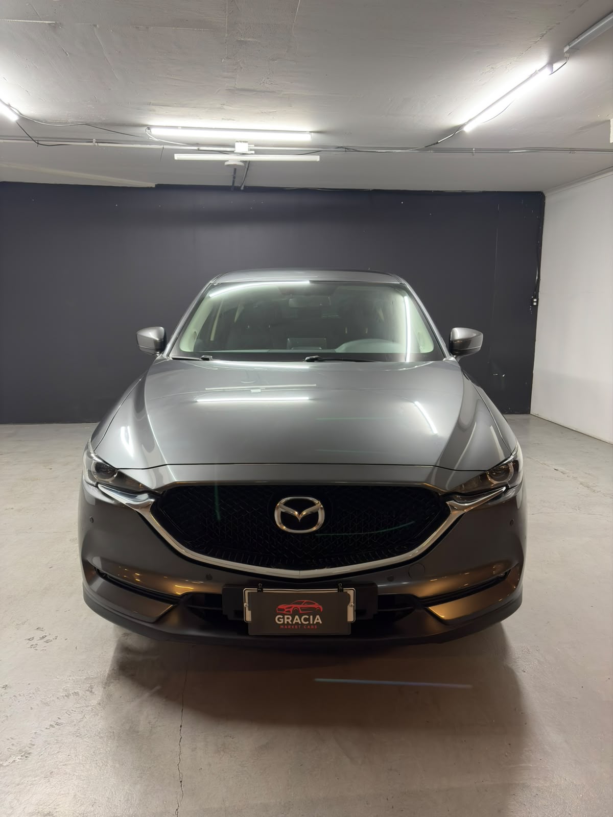 Vehicle media 2