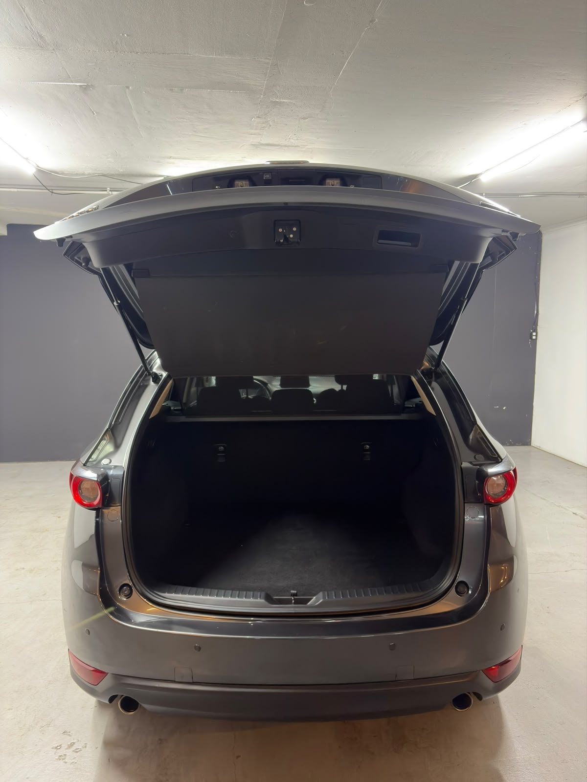 Vehicle media 19
