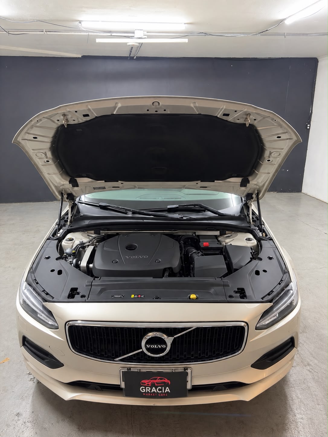 Vehicle media 19
