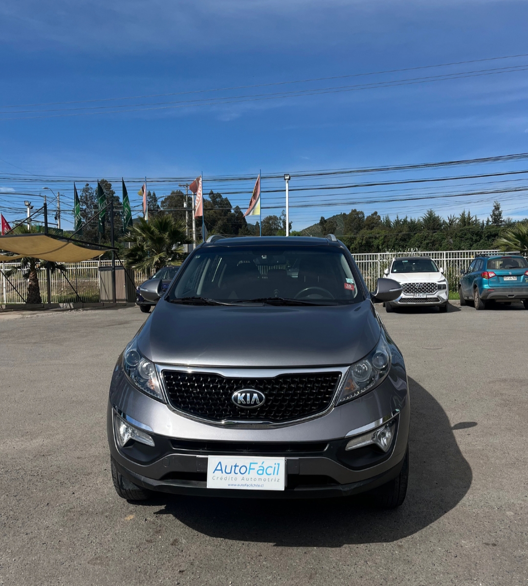 Vehicle media 5