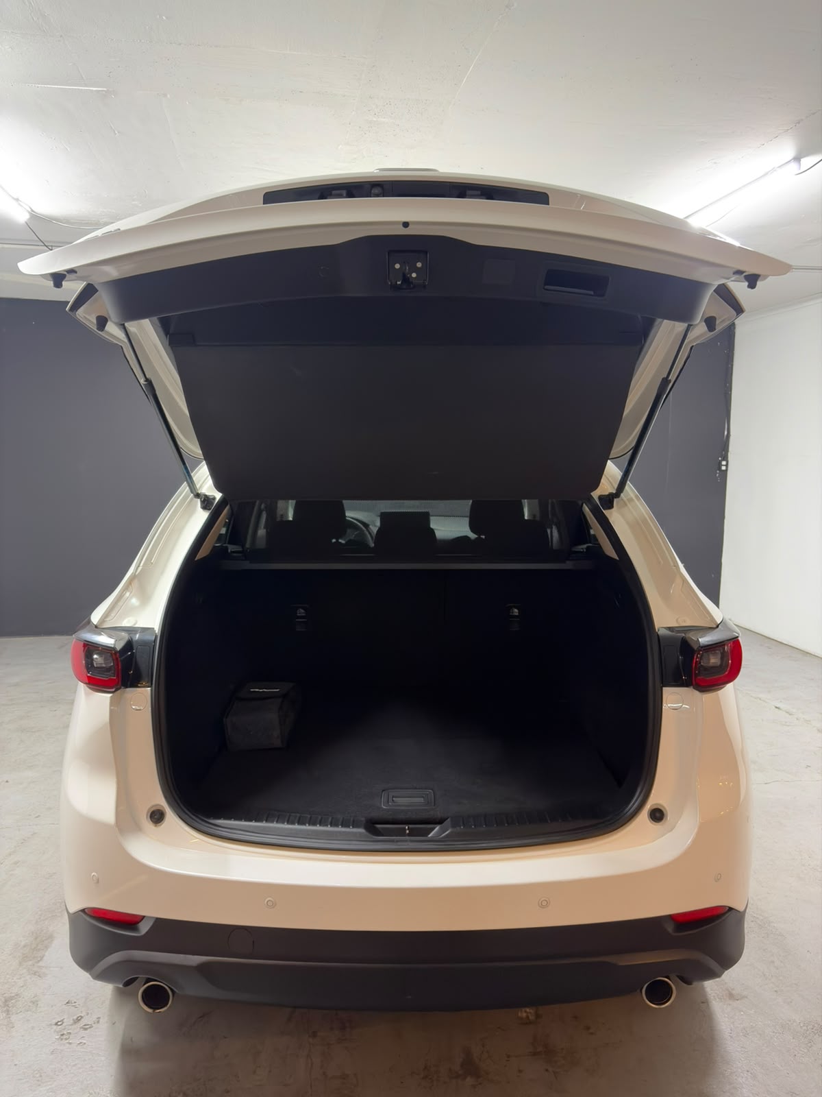 Vehicle media 19