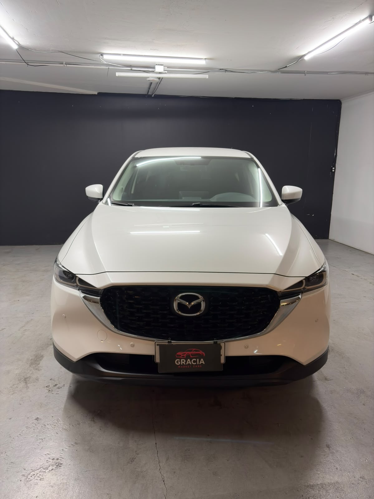 Vehicle media 2
