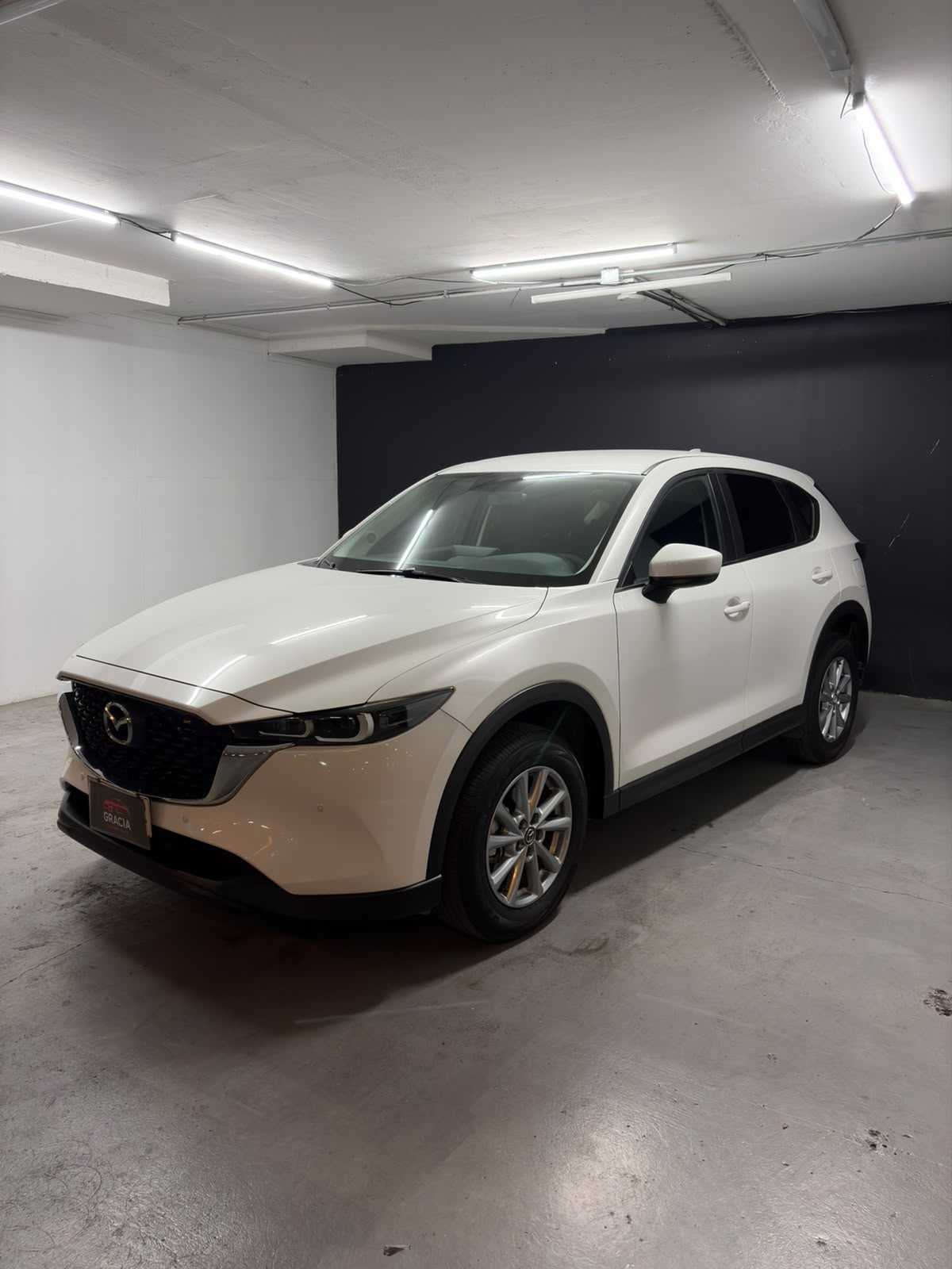 Vehicle media 1