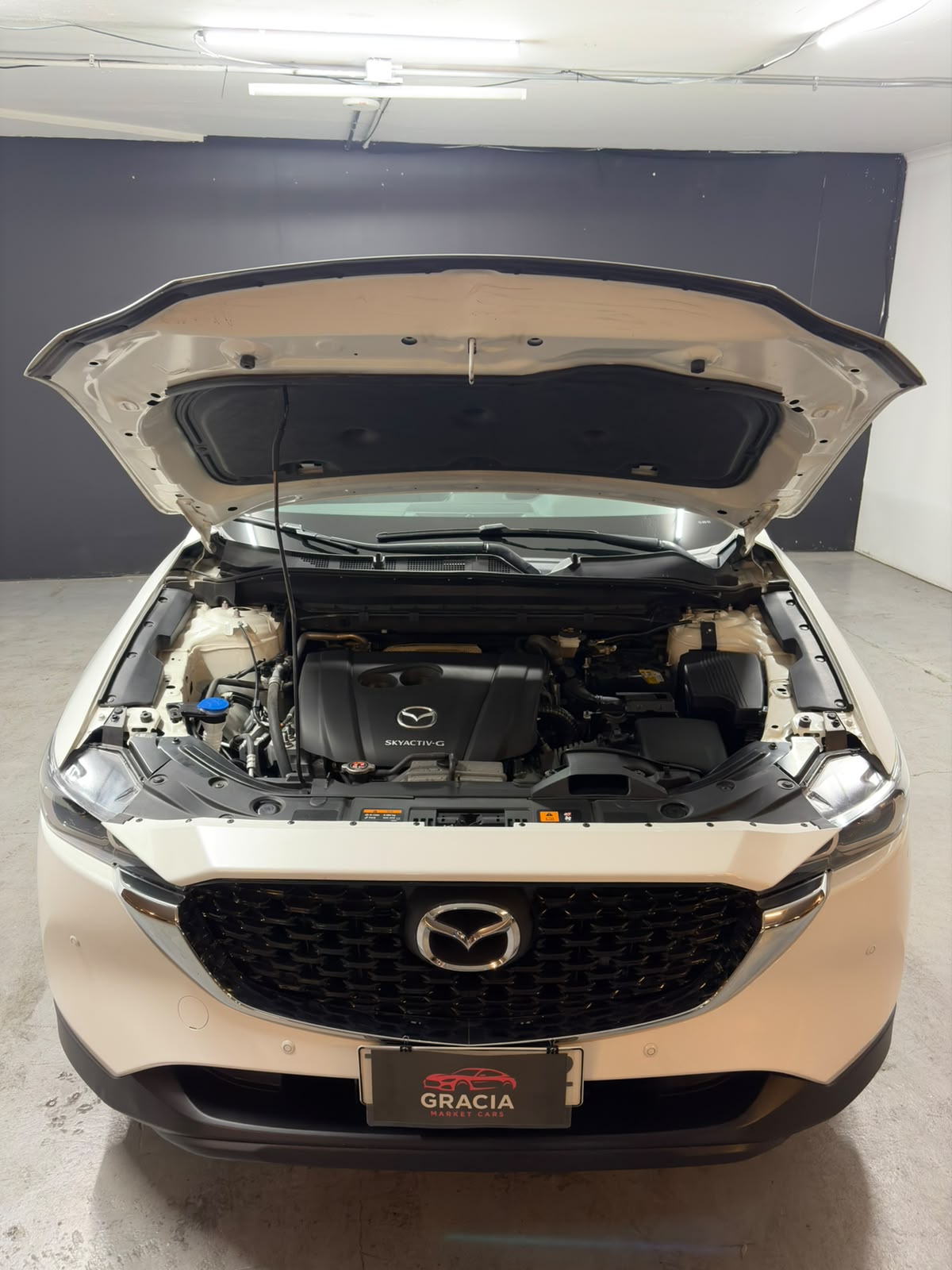 Vehicle media 20