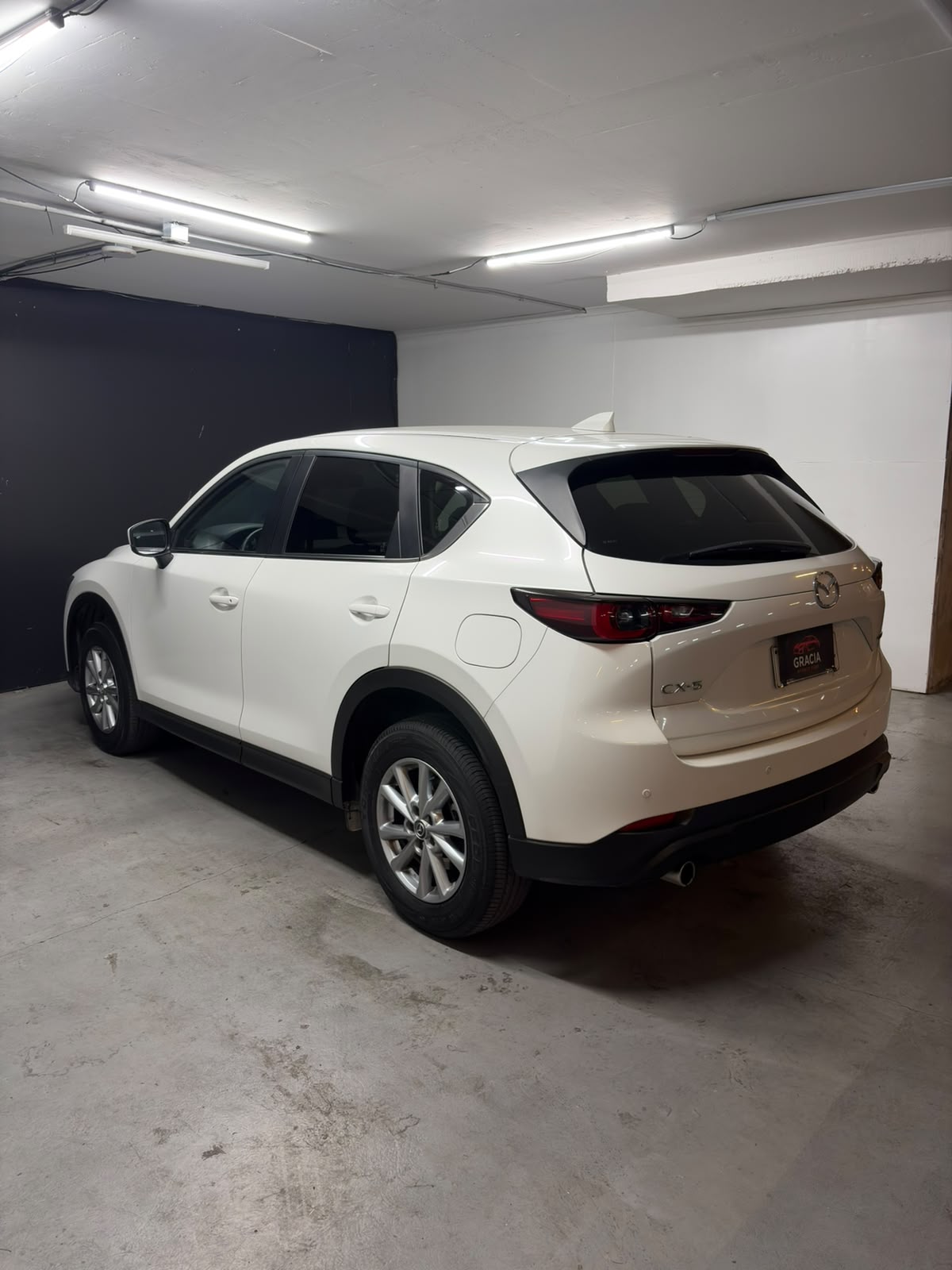 Vehicle media 6