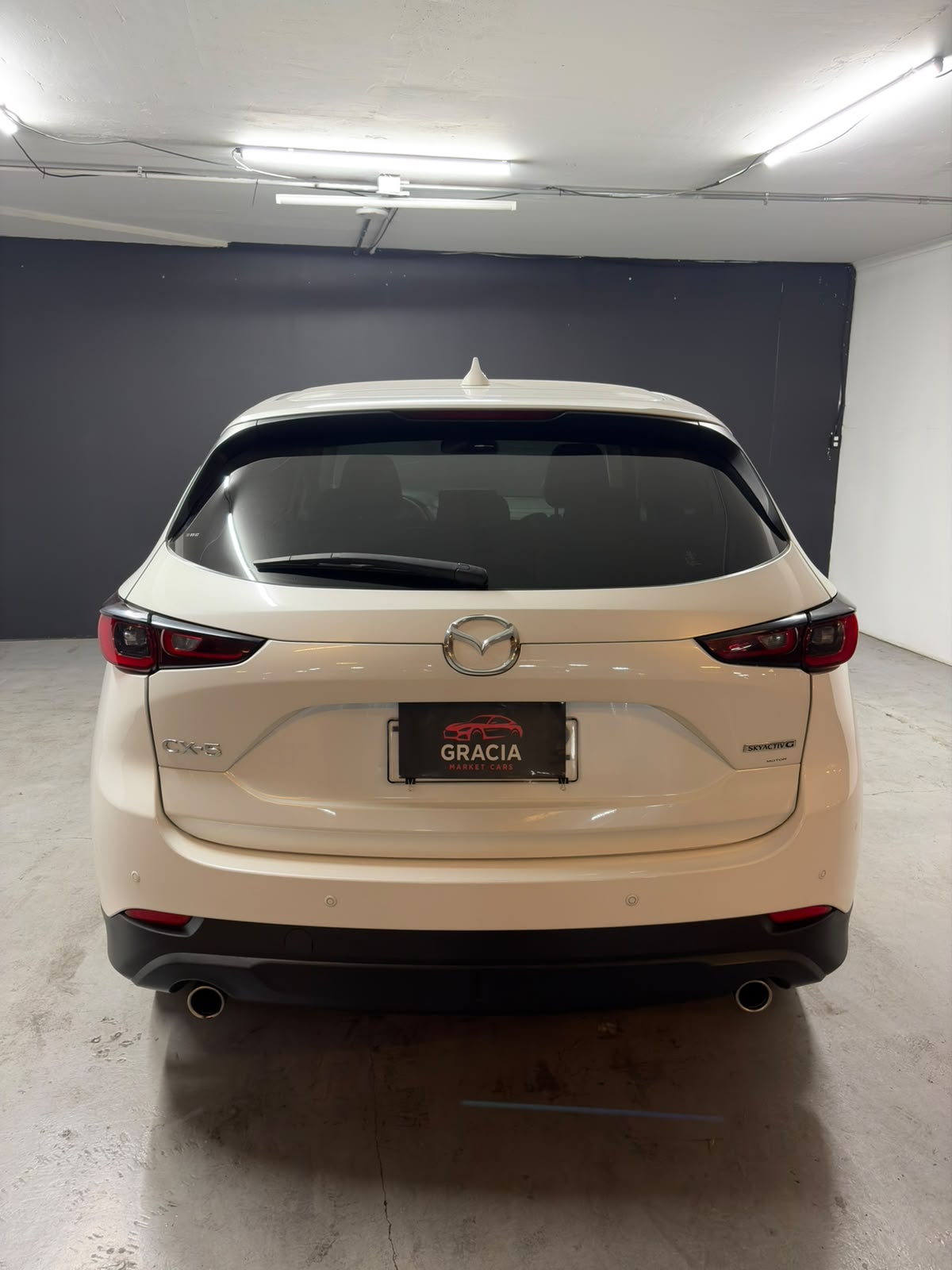 Vehicle media 5