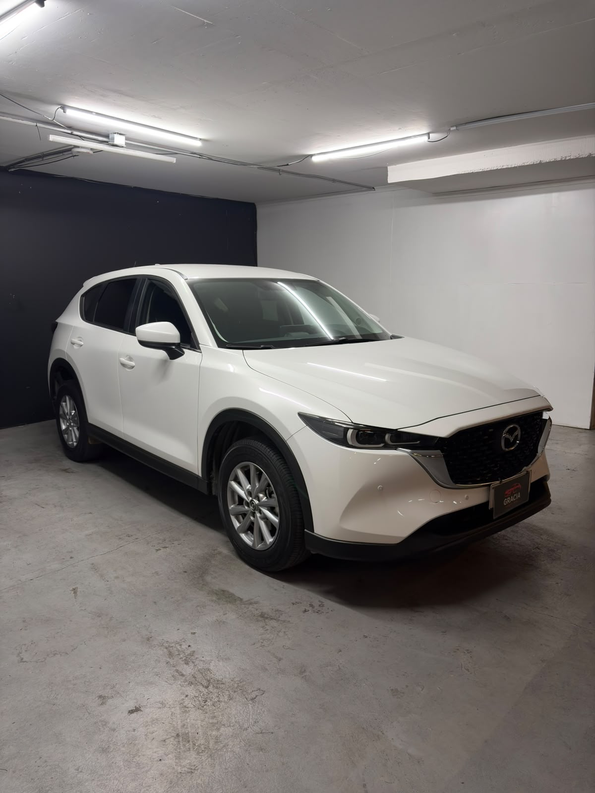 Vehicle media 3