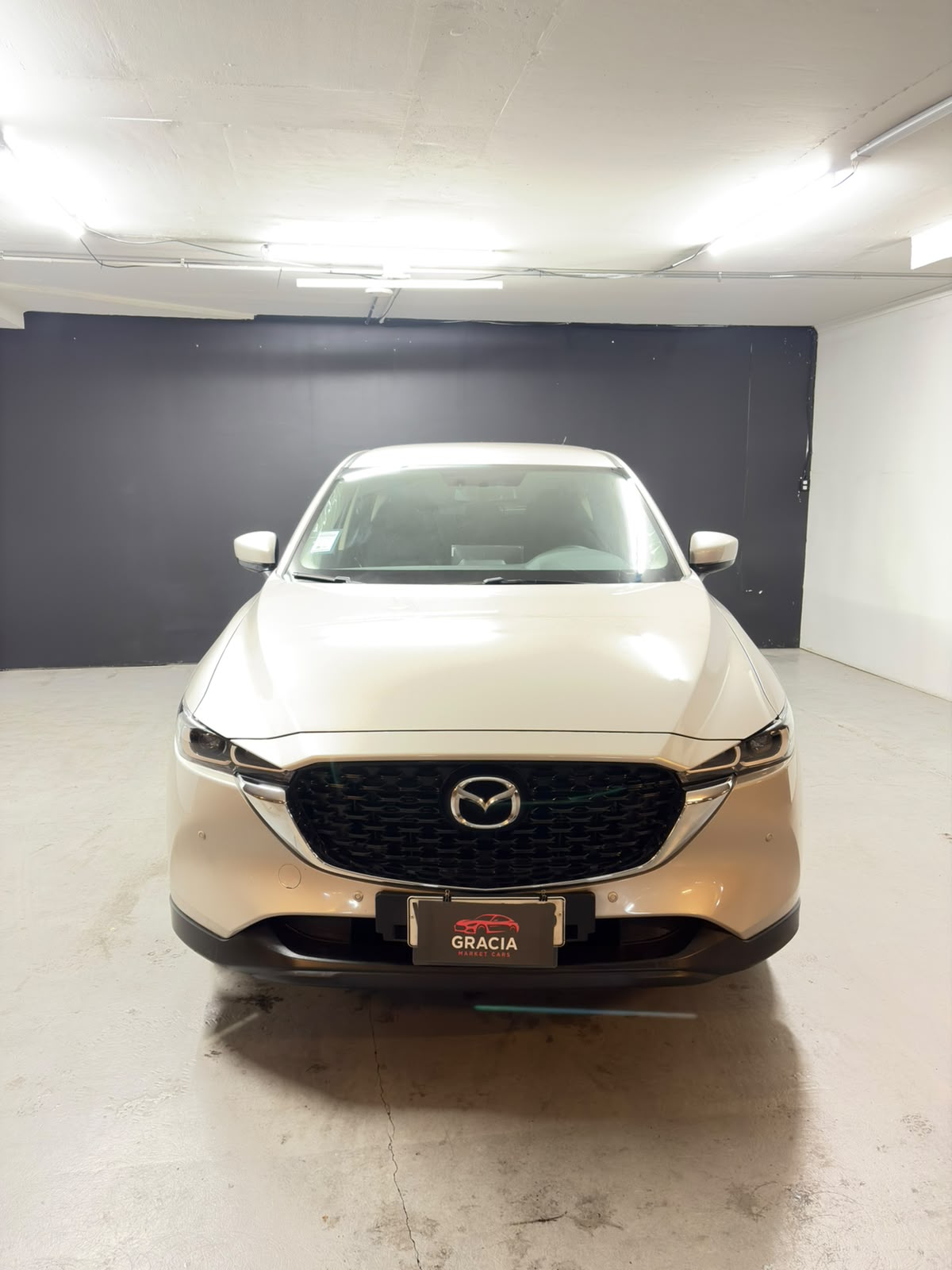 Vehicle media 2