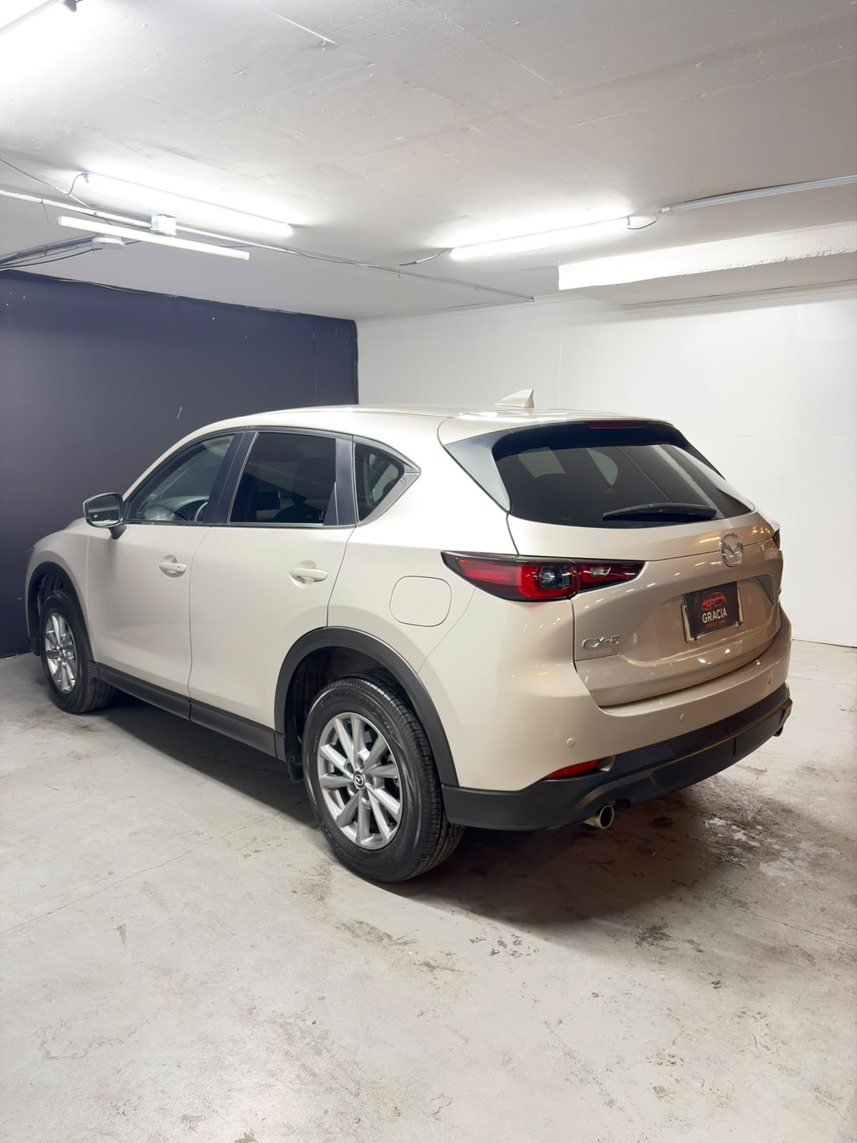 Vehicle media 6