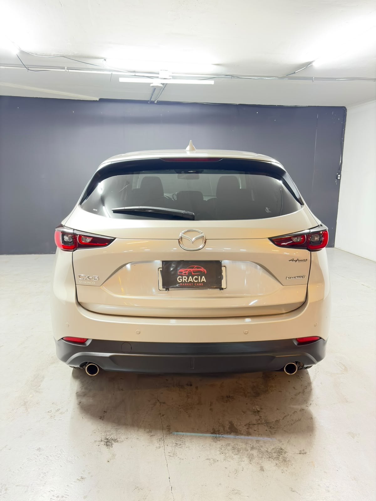 Vehicle media 5