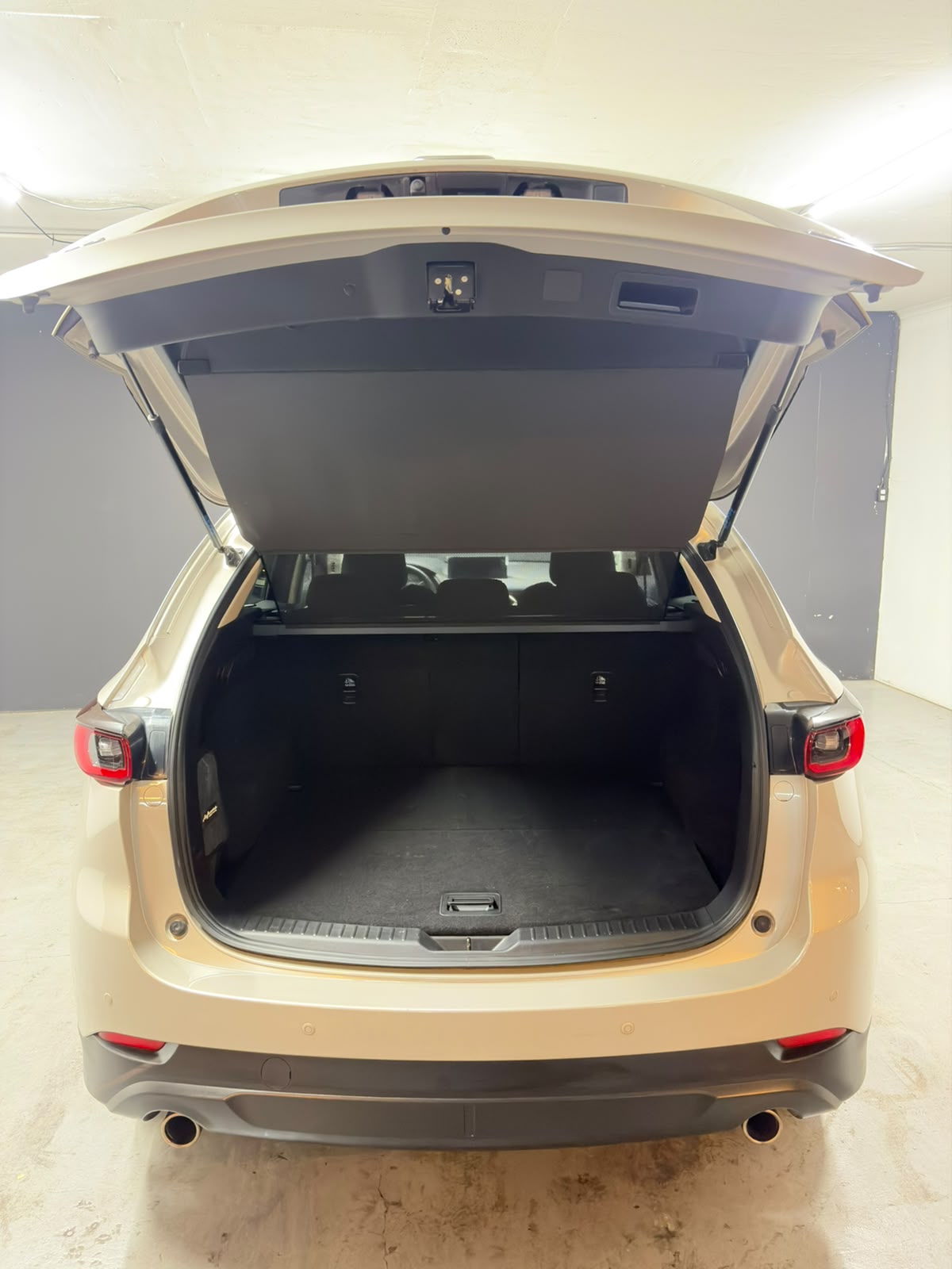 Vehicle media 19