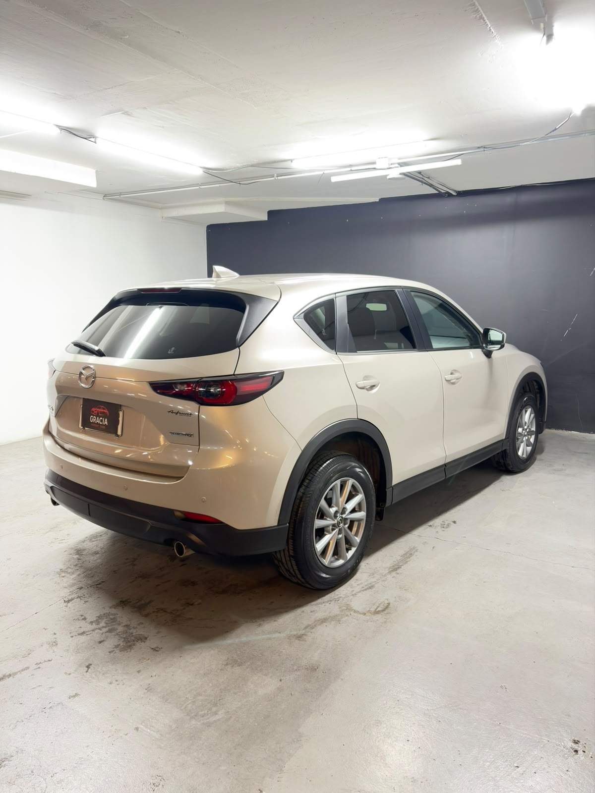 Vehicle media 4