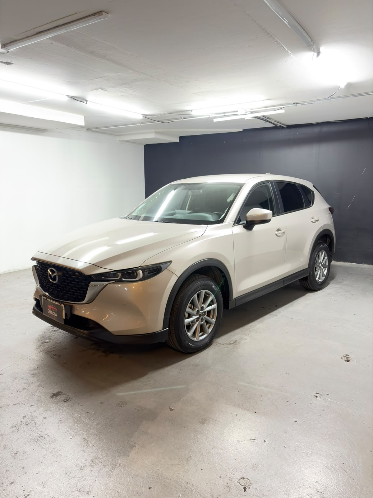 Vehicle media 1