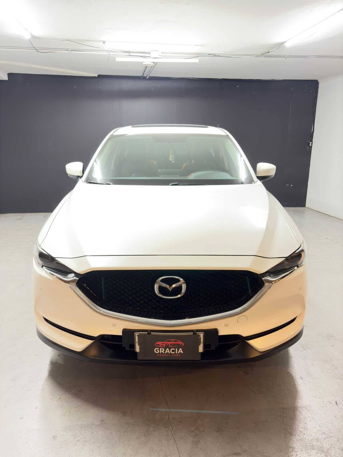 Vehicle media 2
