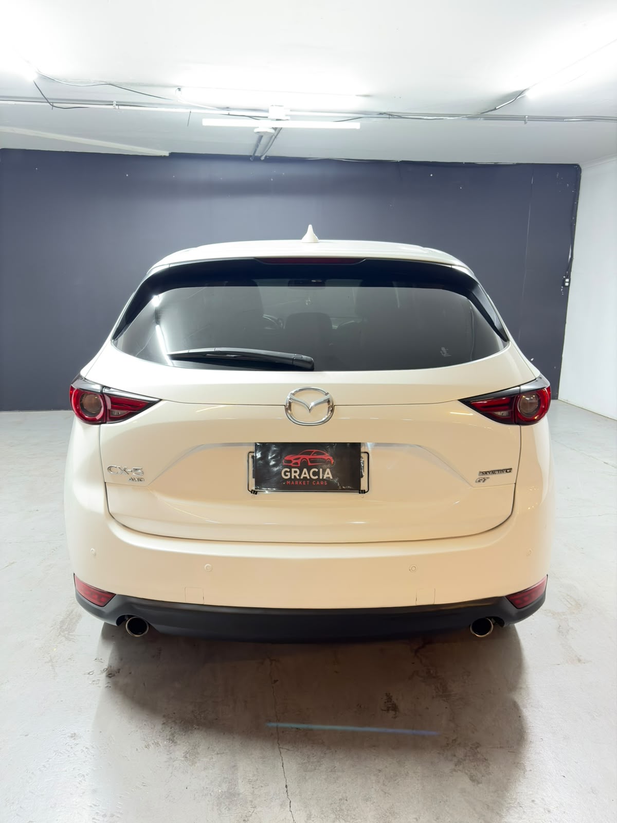 Vehicle media 5