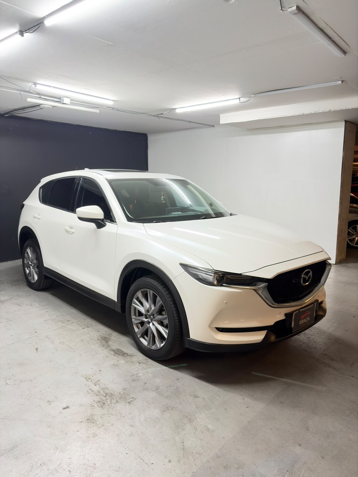 Vehicle media 3