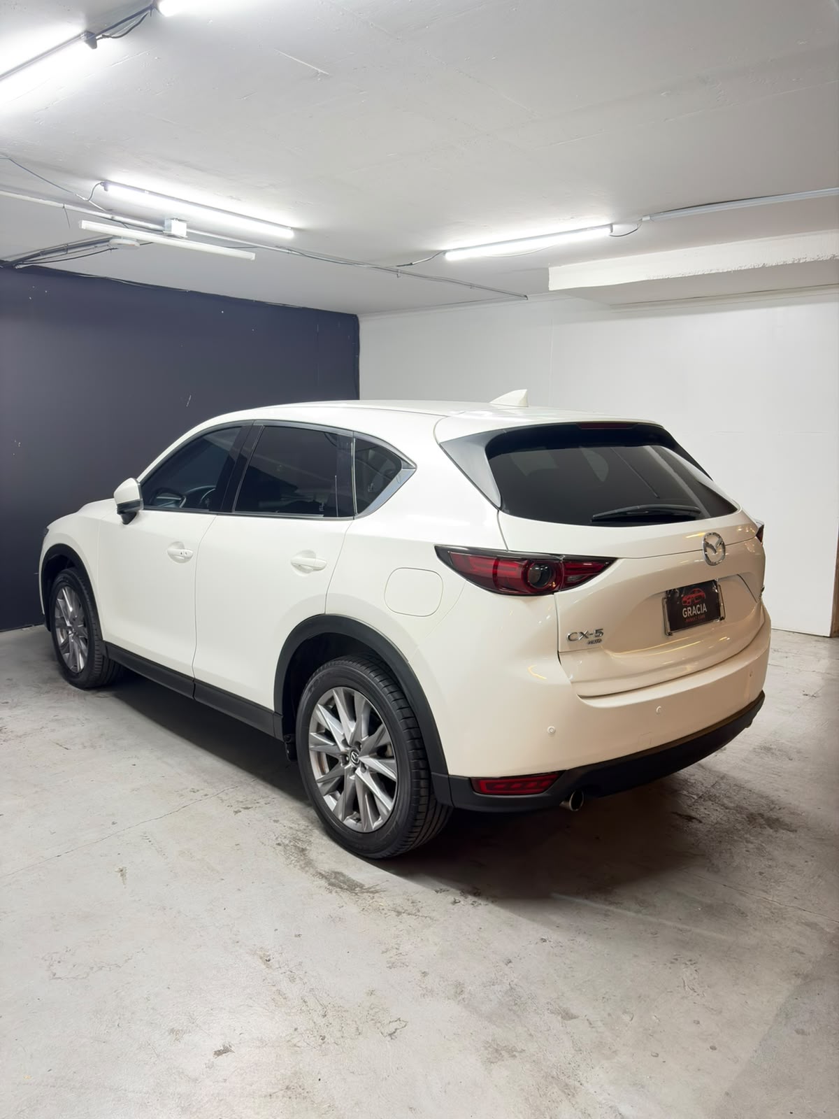 Vehicle media 6