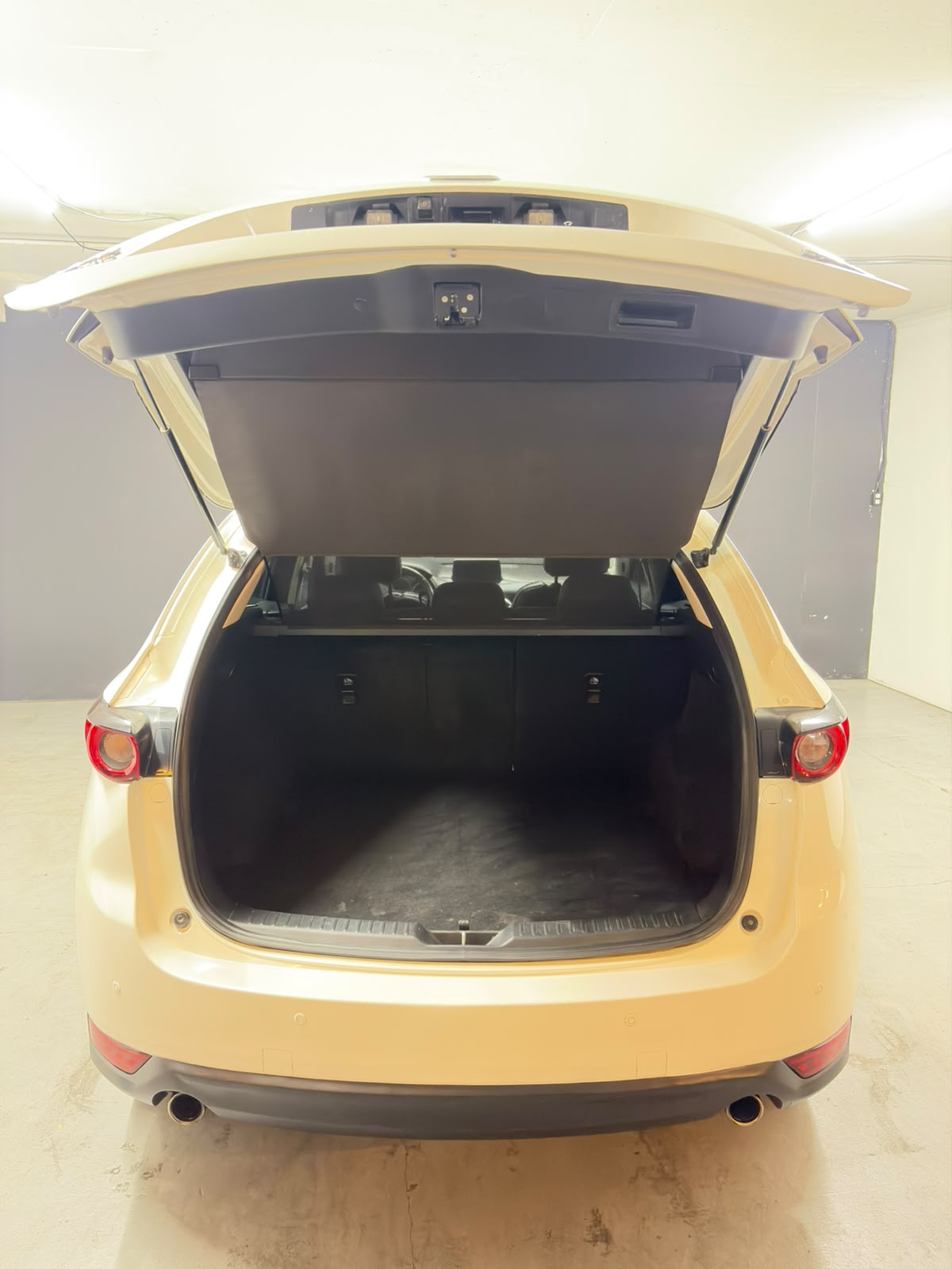 Vehicle media 19