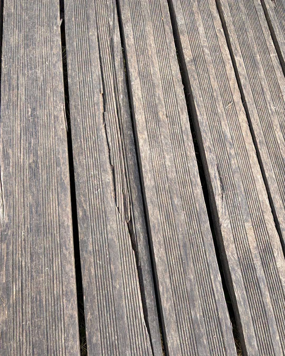 724958717_1813163970089393_3102767121777198693_n.jpg