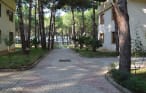 Ferienwohnung - Durrës-Qerret, Albanien - ALD029 7