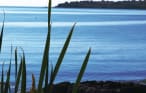 Ferienwohnung - Sozopol, Bulgarien - BGS419 16