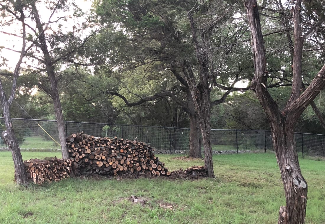 Lifelawn Tree Service — work in the New Braunfels area