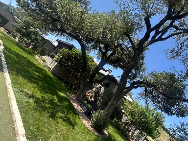Lifelawn Tree Service crew photo, New Braunfels, Texas