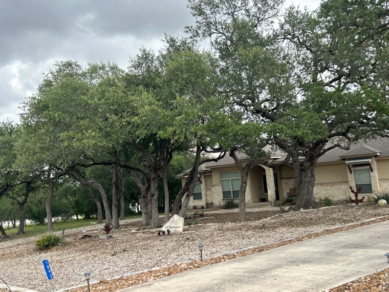 Lifelawn Tree Service — work in the New Braunfels area