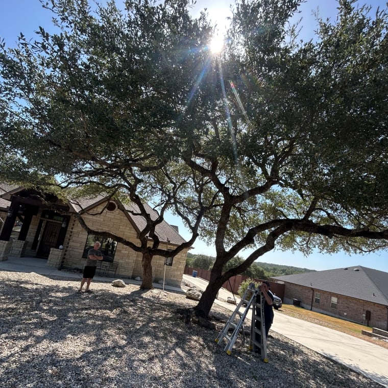 Tree work by Lifelawn Tree Service in the Texas Hill Country