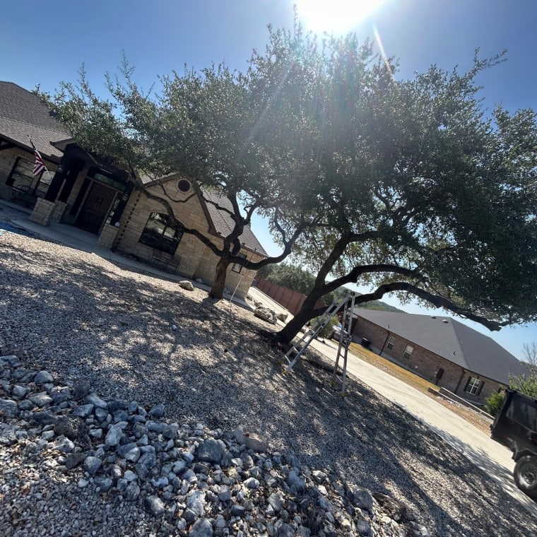 Lifelawn Tree Service — work in the New Braunfels area