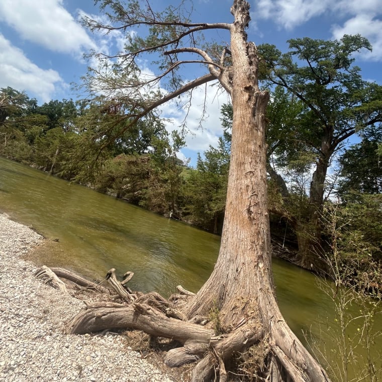 Lifelawn Tree Service crew photo, New Braunfels, Texas