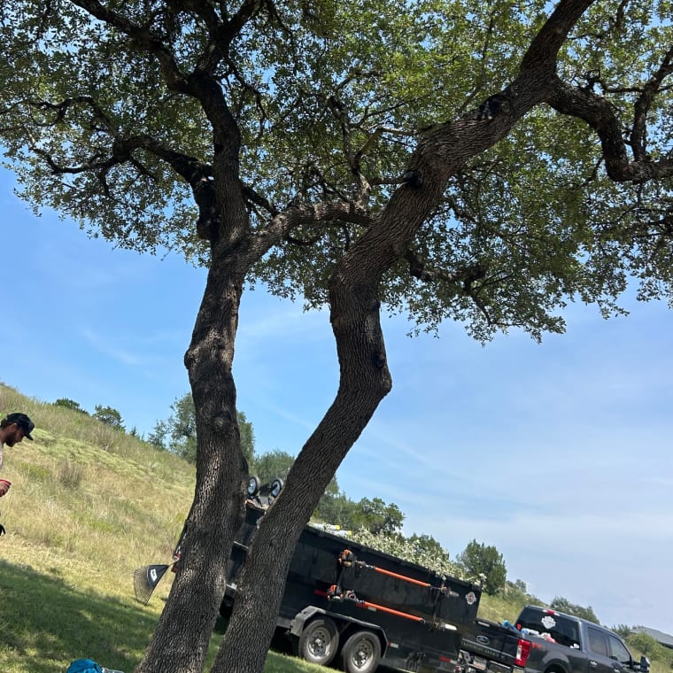 Lifelawn Tree Service — work in the New Braunfels area