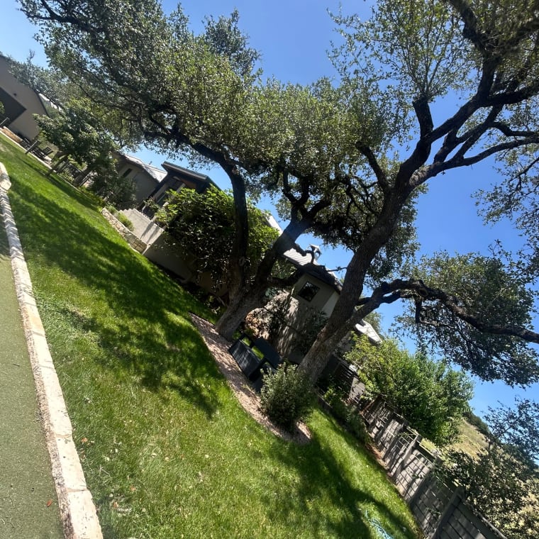 Lifelawn Tree Service — Comal County job photo