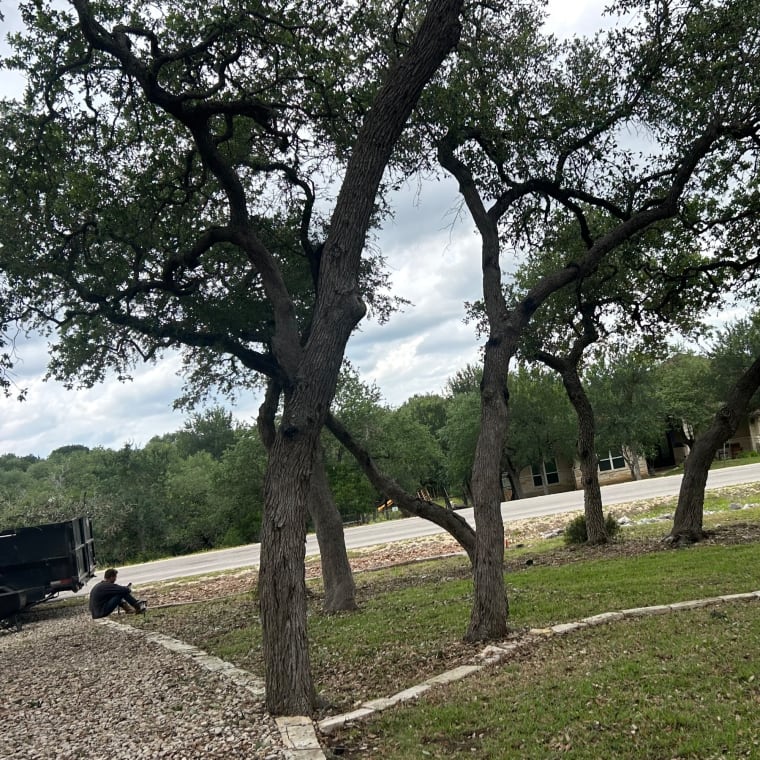 Tree work by Lifelawn Tree Service in the Texas Hill Country