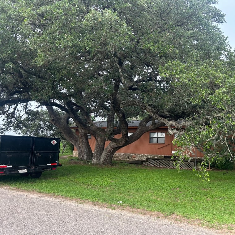 Lifelawn Tree Service — work in the New Braunfels area