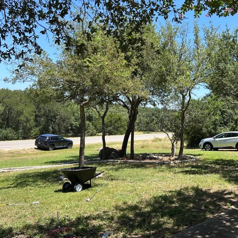 Lifelawn Tree Service crew photo, New Braunfels, Texas