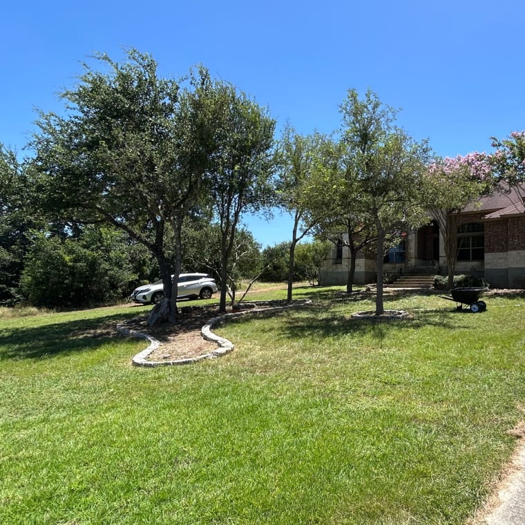 Lifelawn Tree Service — work in the New Braunfels area