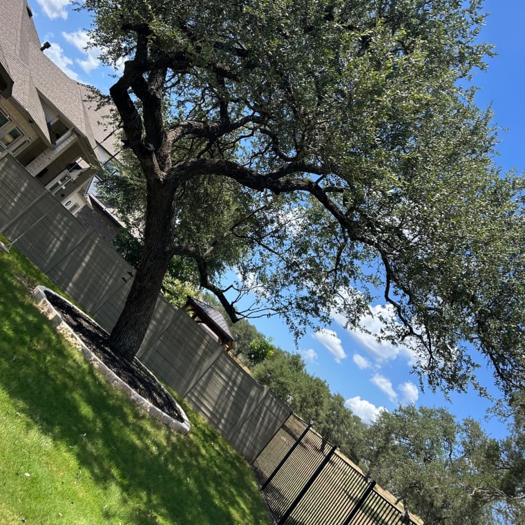 Tree work by Lifelawn Tree Service in the Texas Hill Country