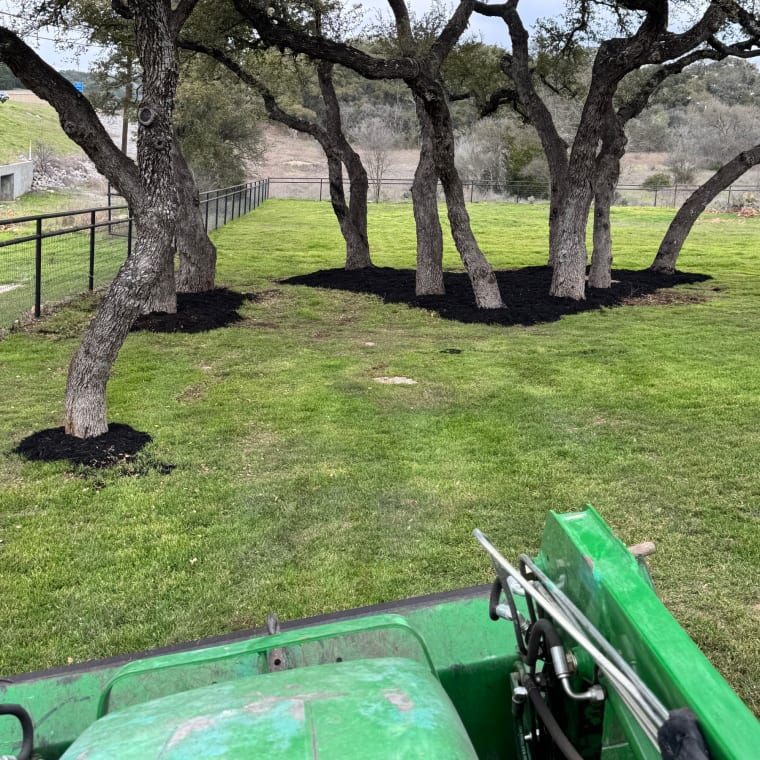 Lifelawn Tree Service — work in the New Braunfels area