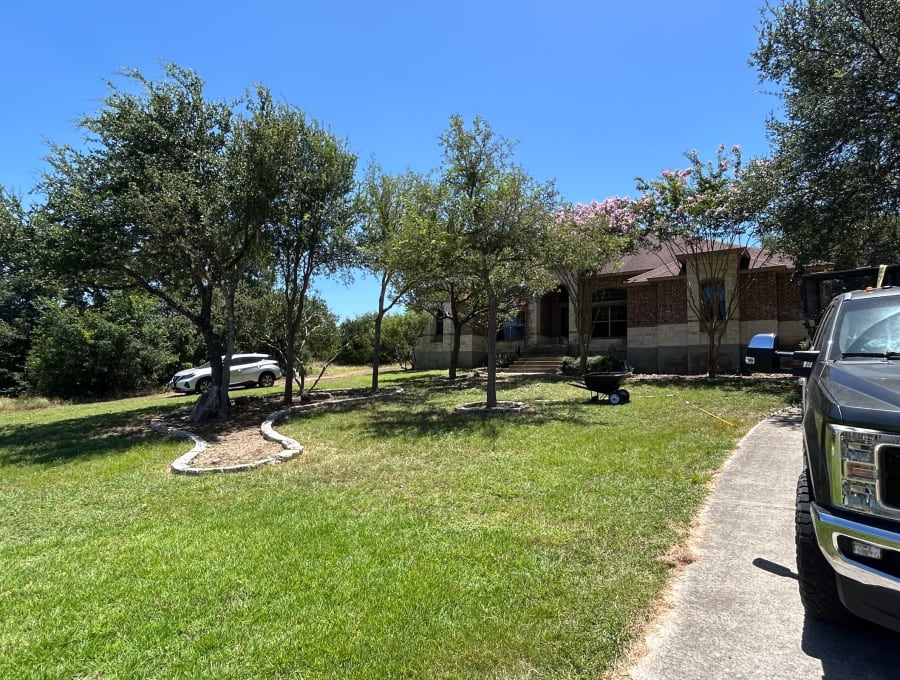 Lifelawn Tree Service — Comal County job photo