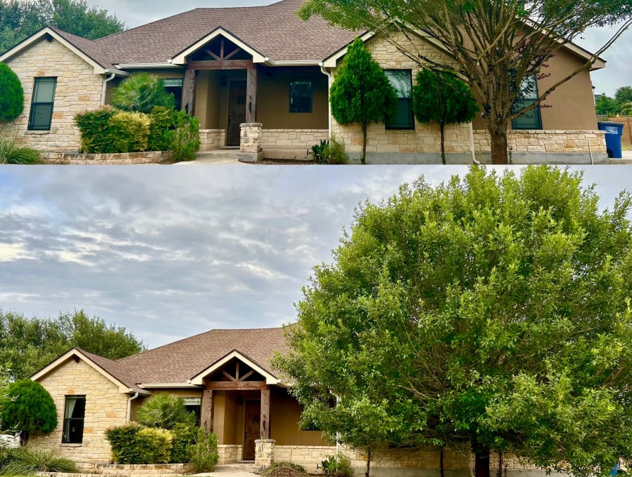 Lifelawn Tree Service — Comal County job photo
