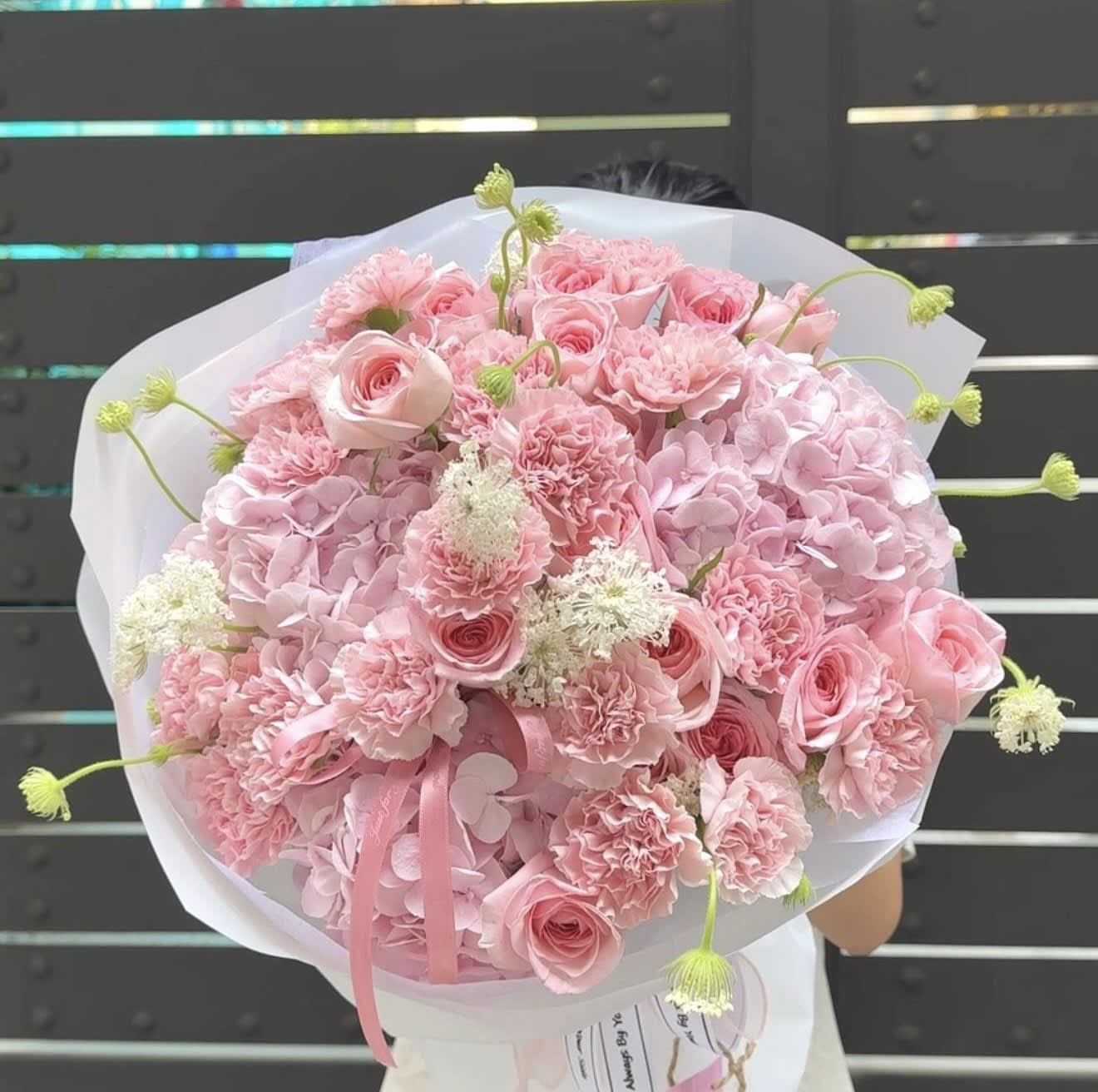 Cẩm tú cầu