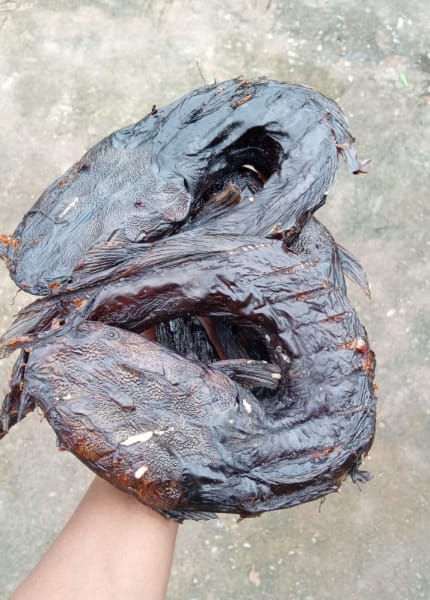 Smoked Catfish - Extra Large Size - Abuja Stock