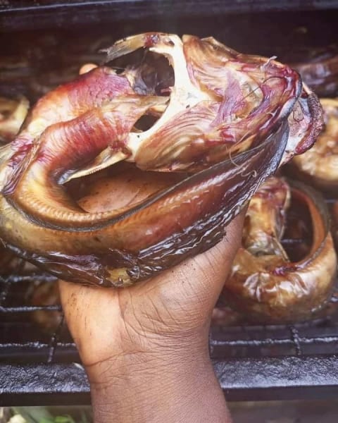 Smoked Catfish - Large Size – Abuja Stock
