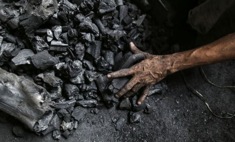 Maha Govt To Oppose Coal Mining Near Tadoba Reserve Minister Energy News India Power News India Energy Oil And Gas News