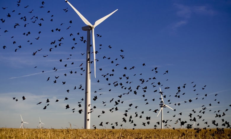 renewable