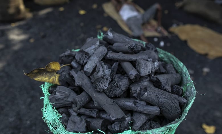India's coal